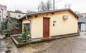Warm House Full Of Green Ambient,Joy And Comfort